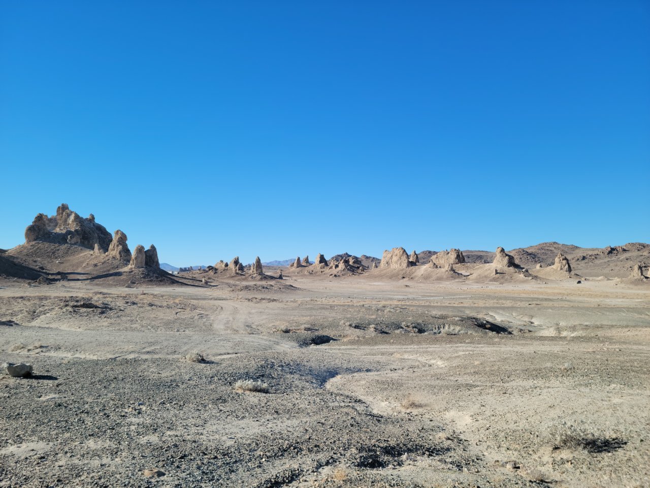 20220219_085357.jpg