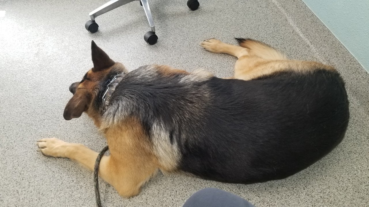 20220219_144047.jpg
