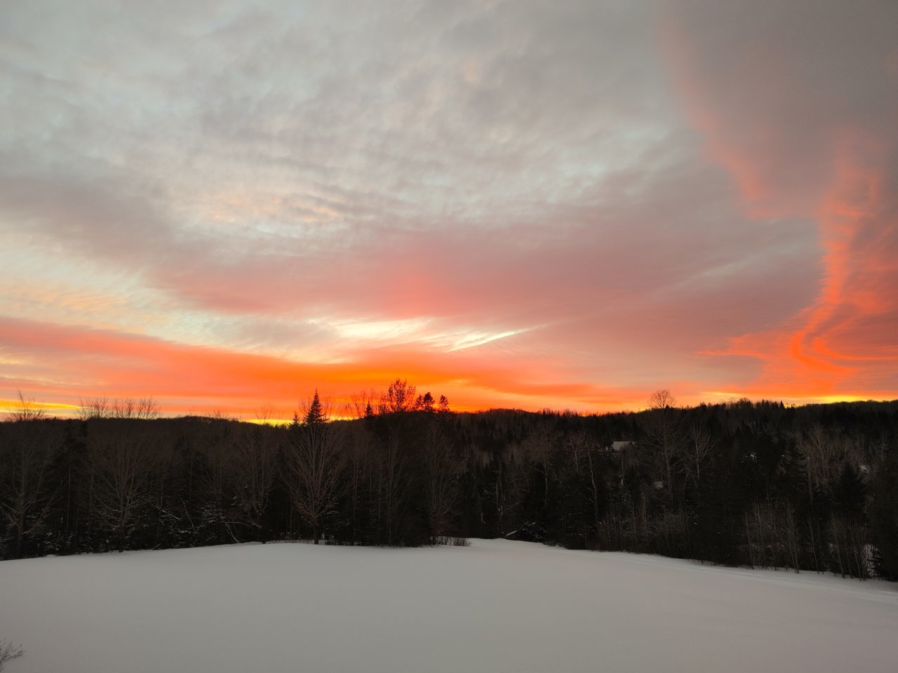 20220220_173157_HDR.jpg