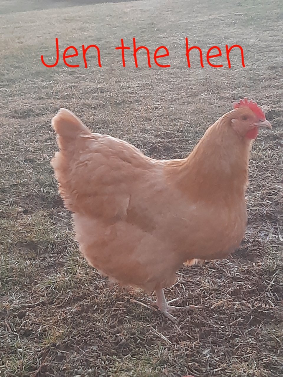 20220220_185954.jpg