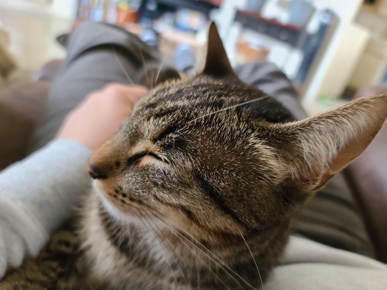 20220221_125335.jpg
