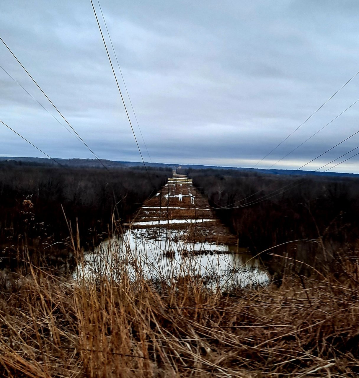 20220221_165715.jpg