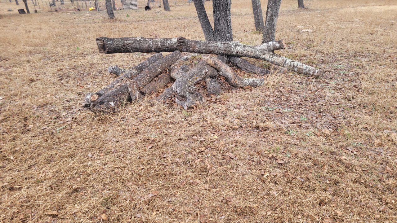 20220223_170634.jpg
