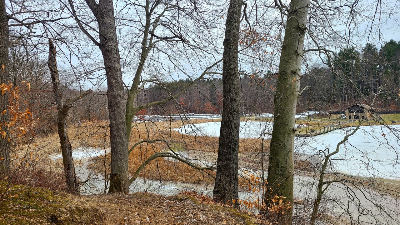 20220224_120746.jpg