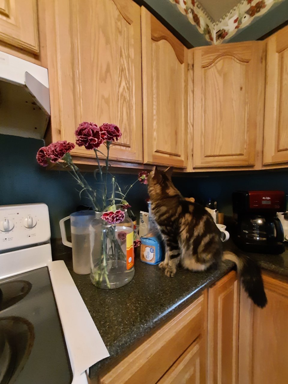 20220225_130526.jpg