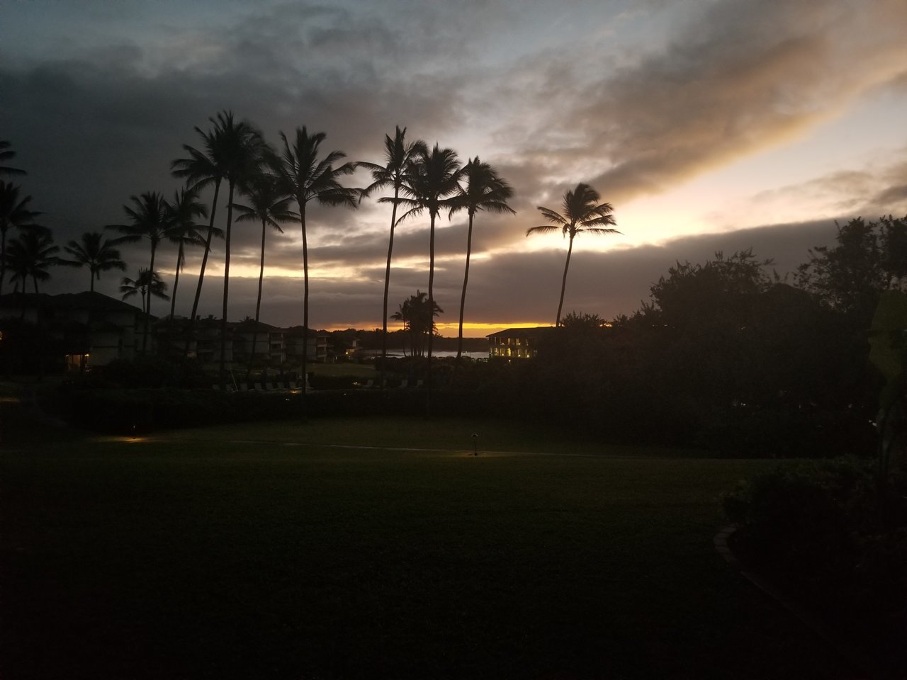20220226_063659.jpg