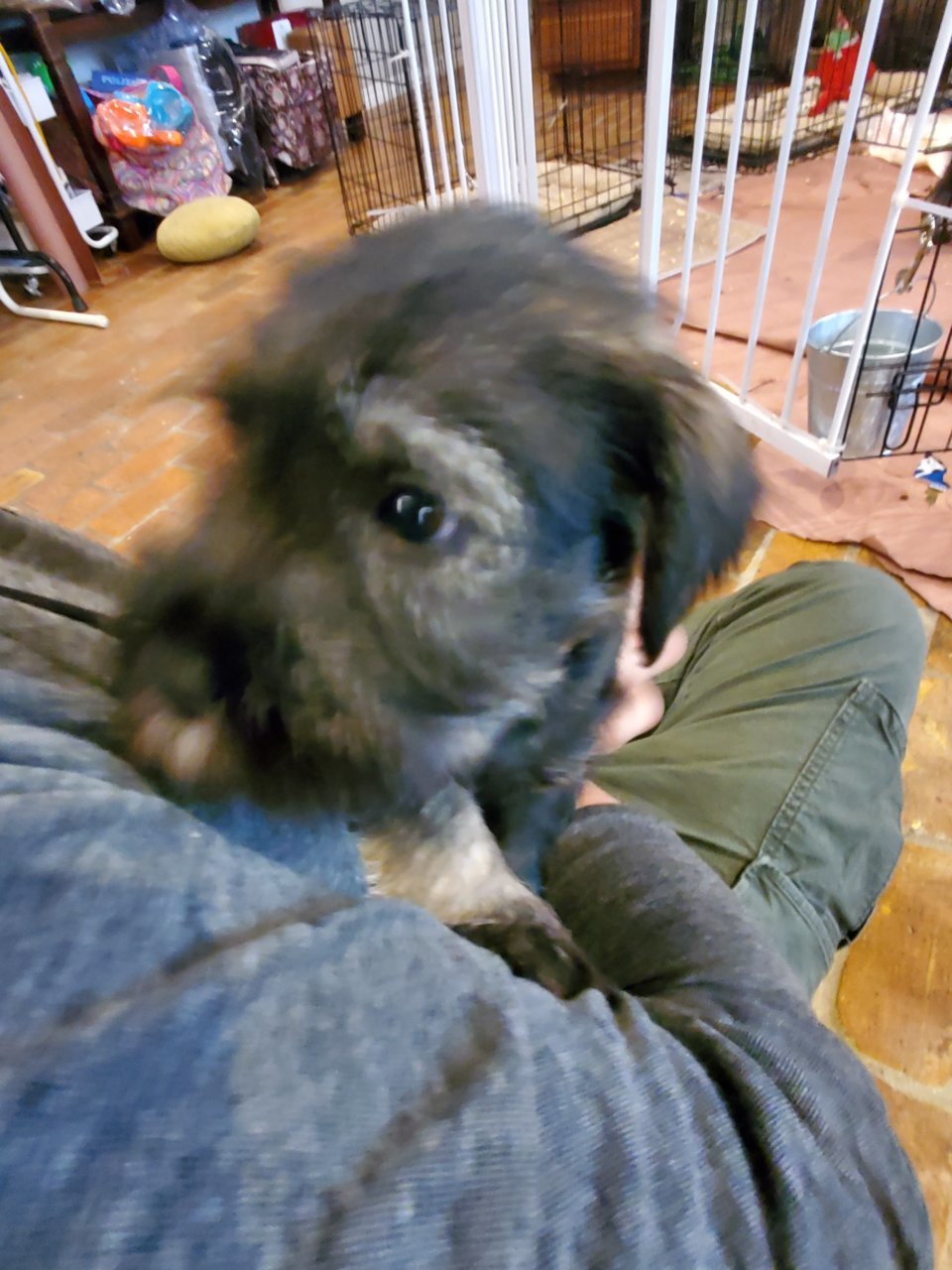 20220226_104156.jpg