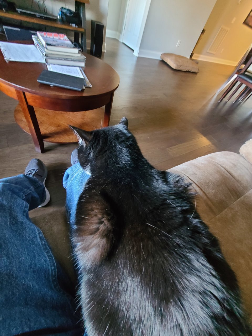 20220228_152046.jpg