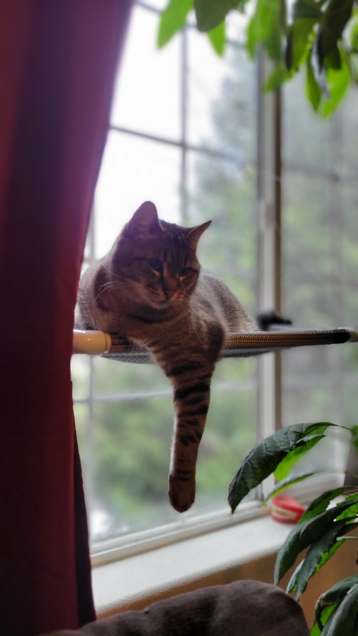 20220228_162414.jpg