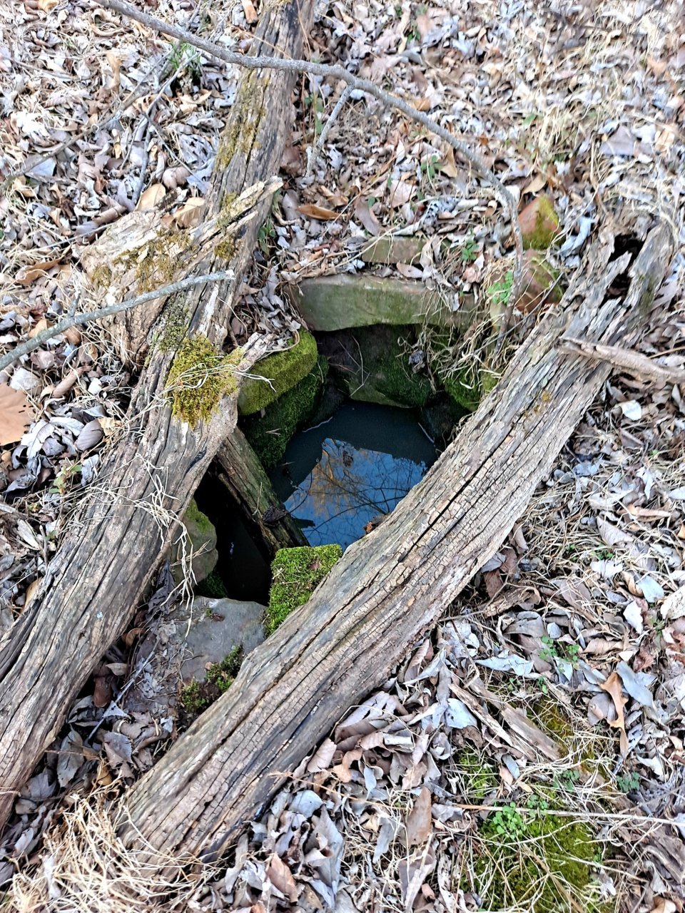 20220302_171137.jpg