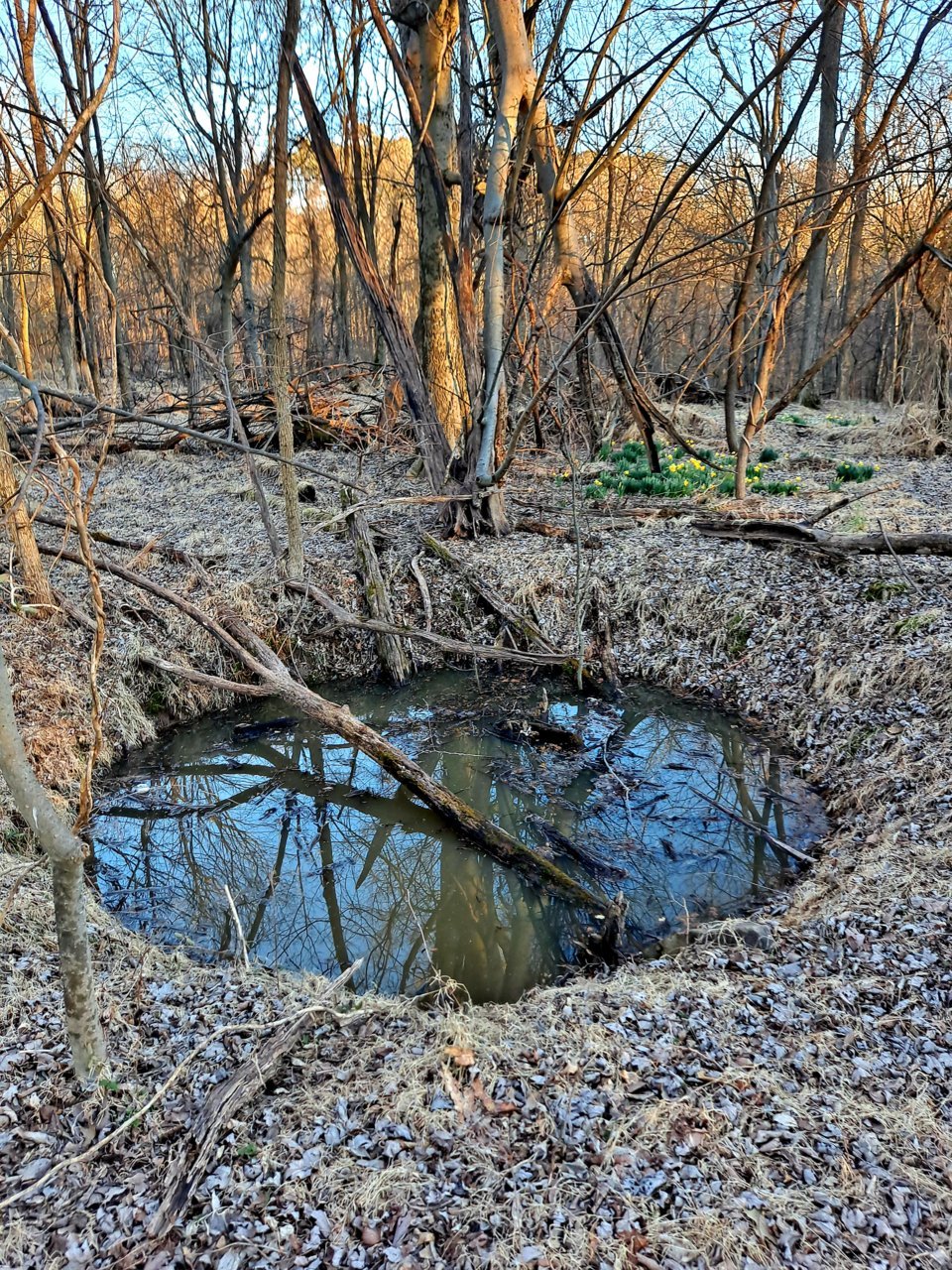20220302_171224.jpg