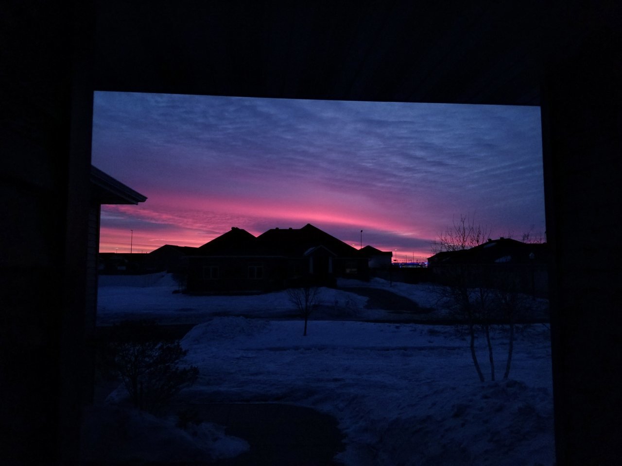 20220303_065041.jpg