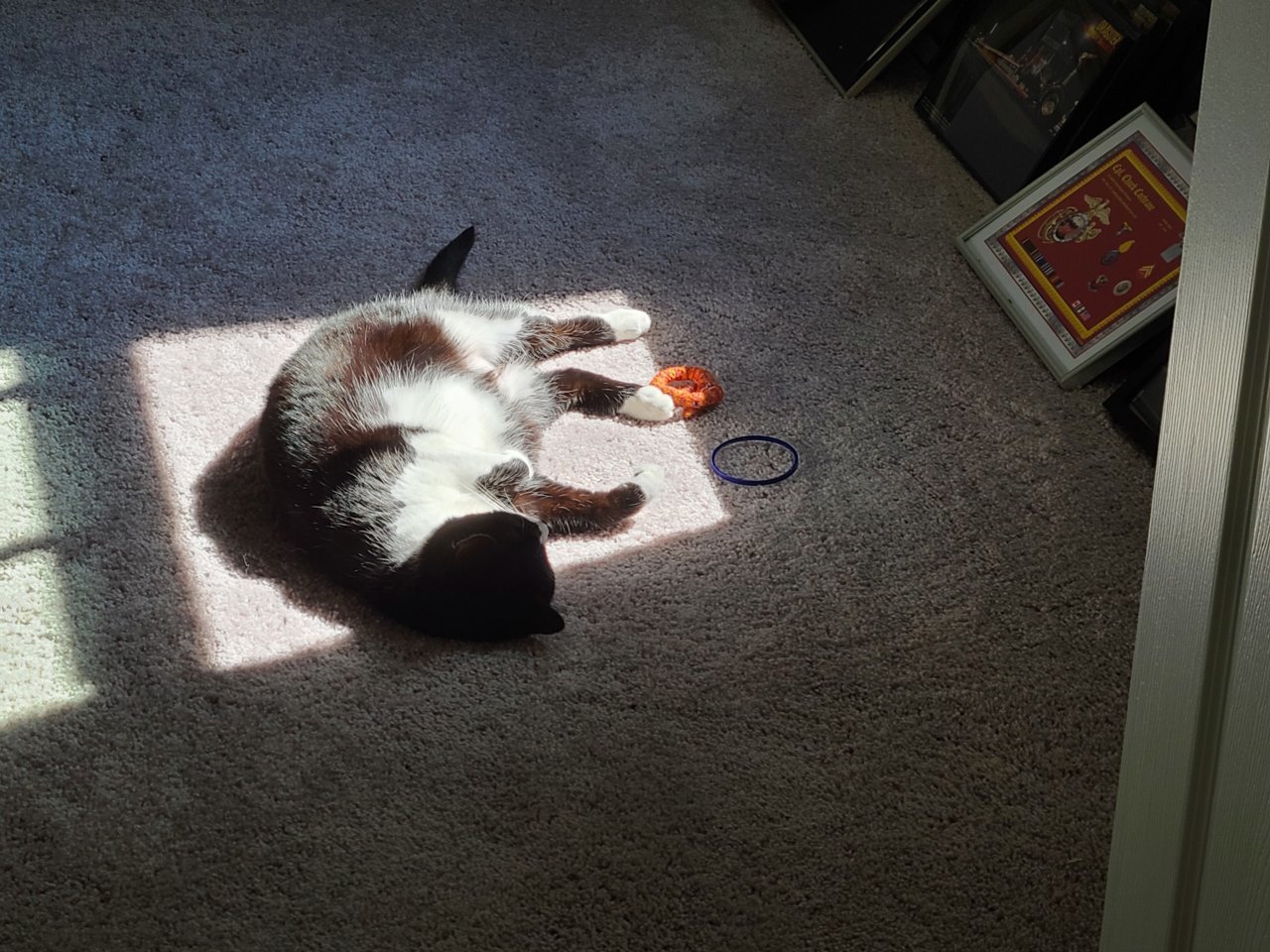 20220303_110714.jpg