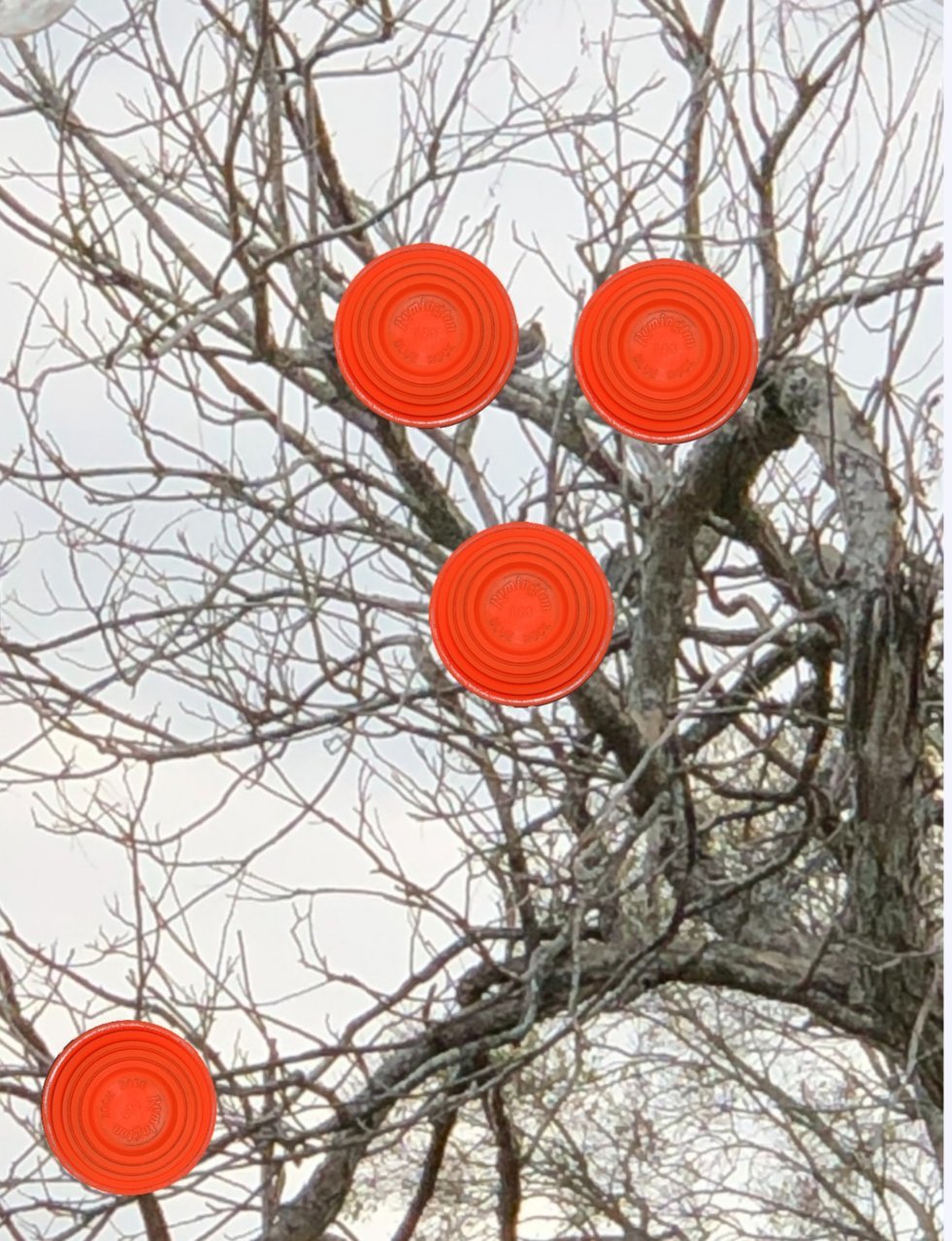 20220303_144039.jpg