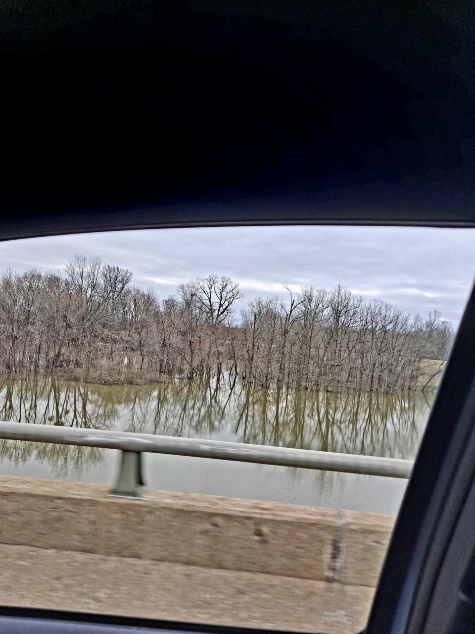 20220308_084652.jpg