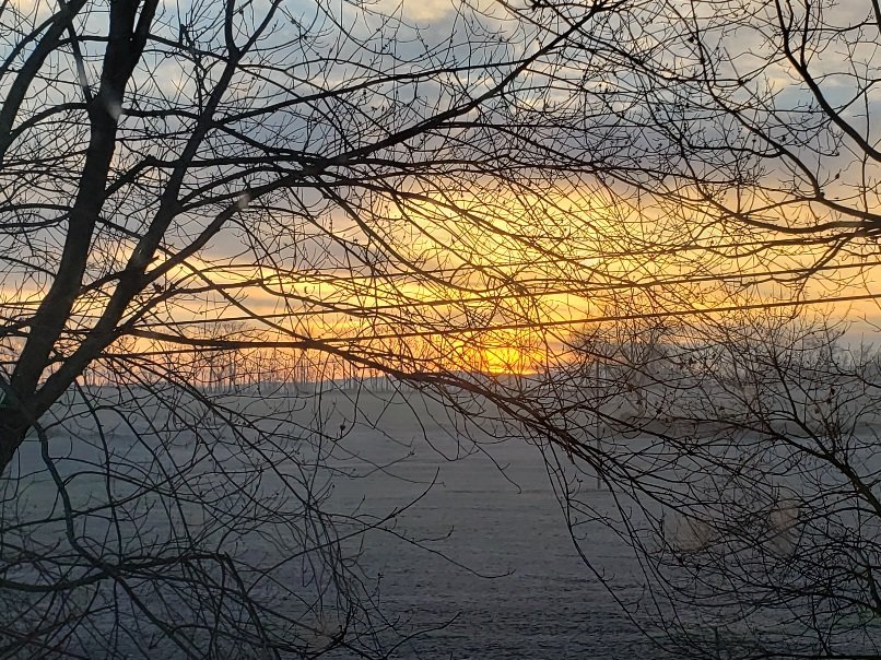 20220310_064314.jpg