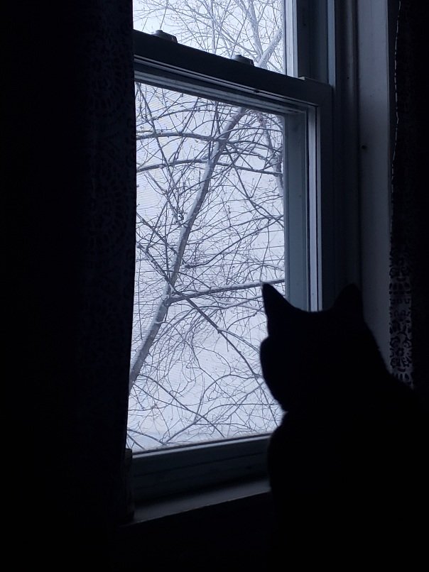 20220312_064107.jpg