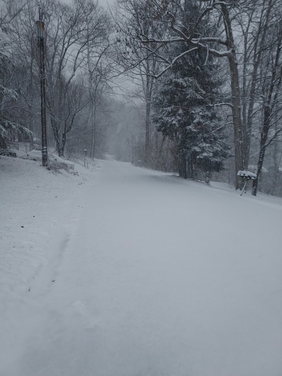 20220312_070418.jpg