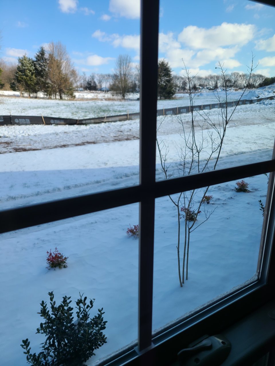 20220312_090717.jpg