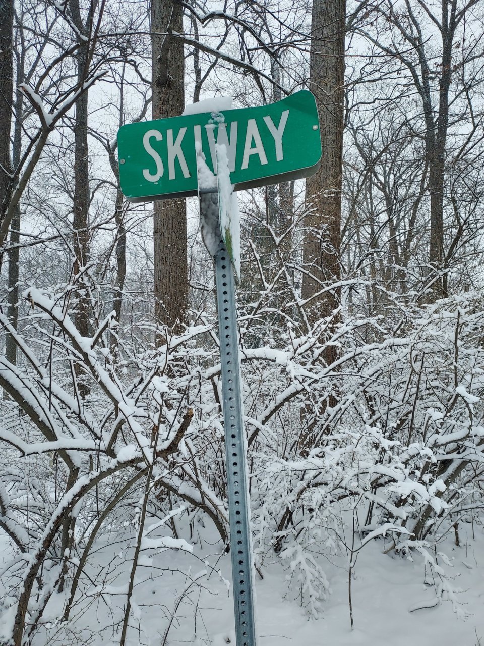 20220312_100438.jpg