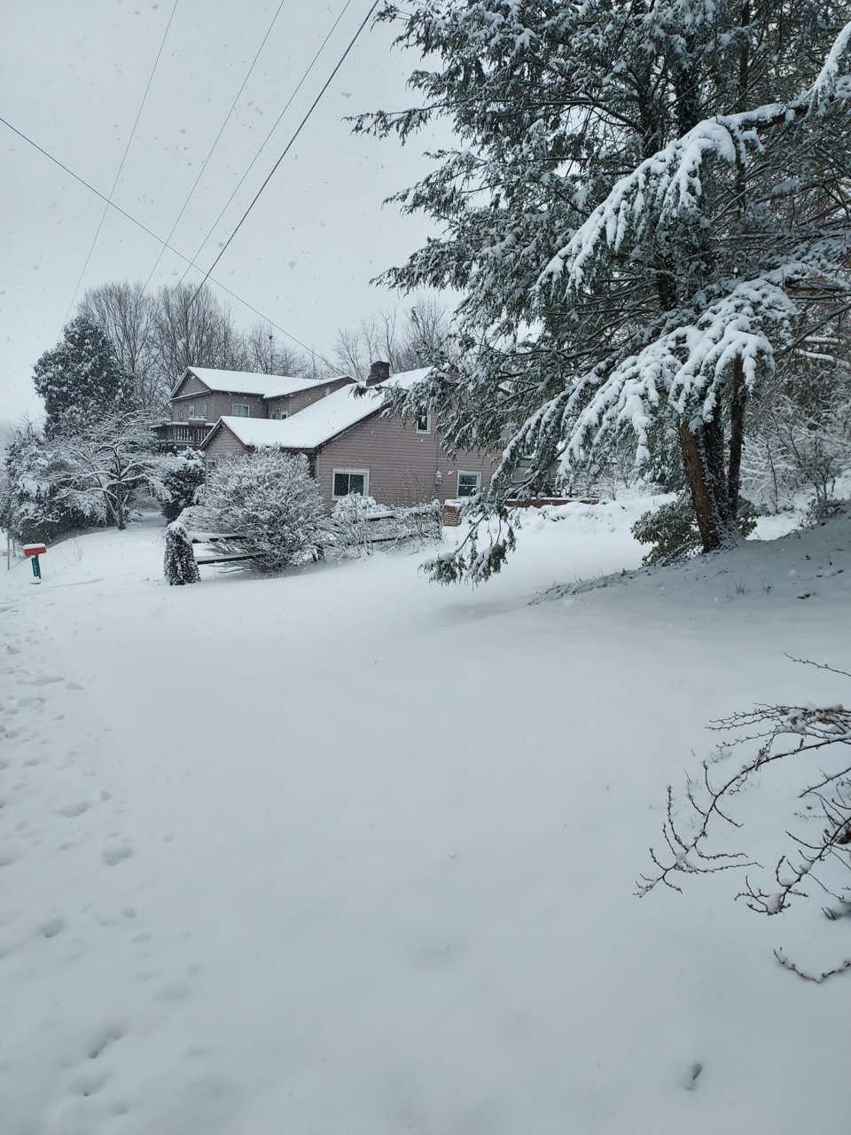 20220312_100632.jpg