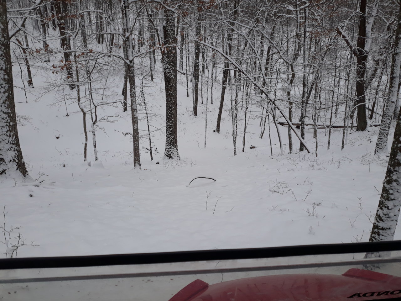 20220312_112822.jpg