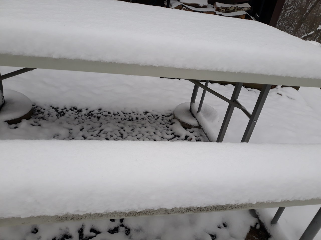 20220312_125531.jpg