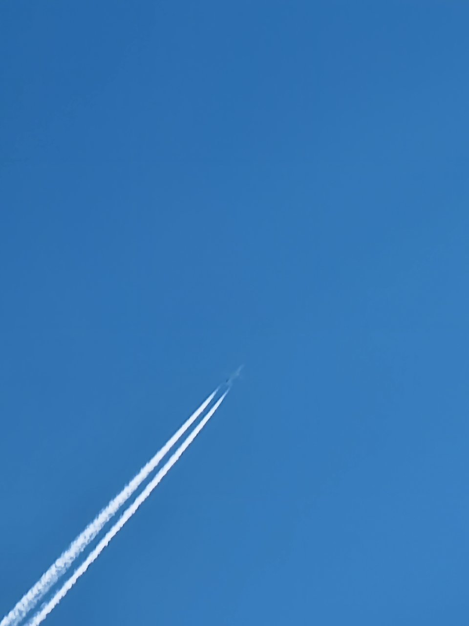 20220313_115654.jpg