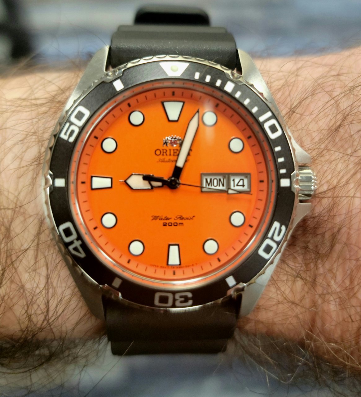 20220314_090317[1].jpg