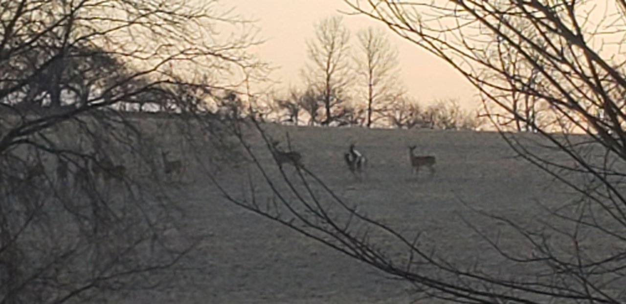 20220316_070429.jpg