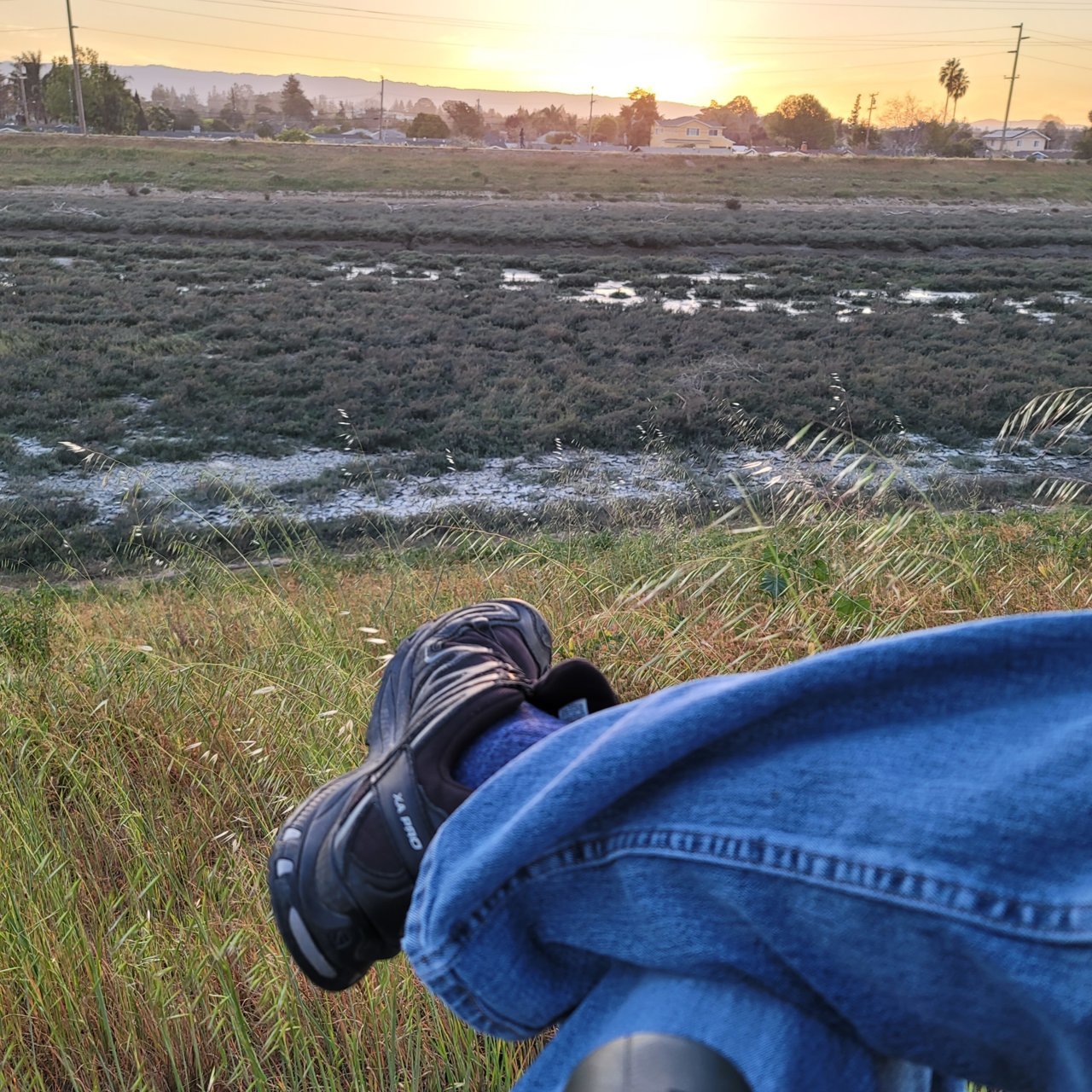 20220316_190851.jpg