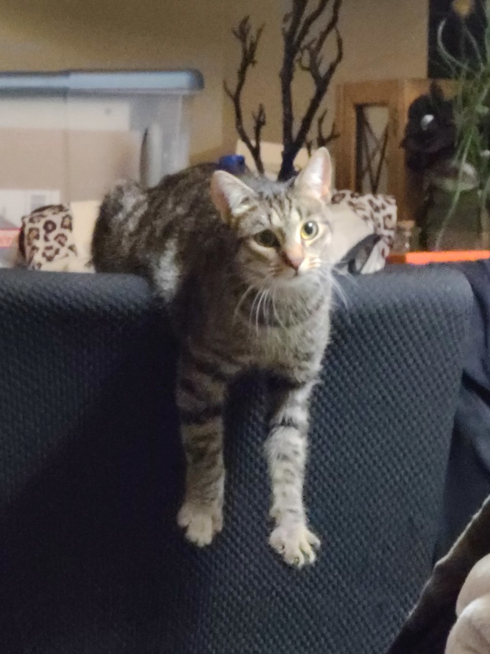 20220317_205252.jpg