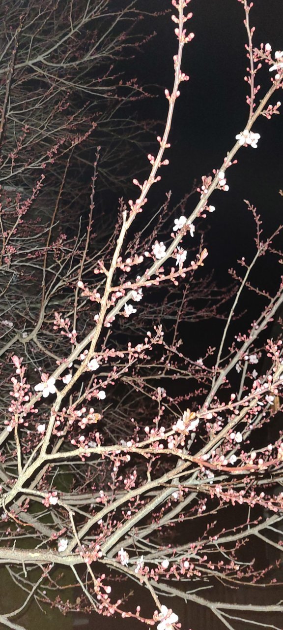 20220318_060516.jpg