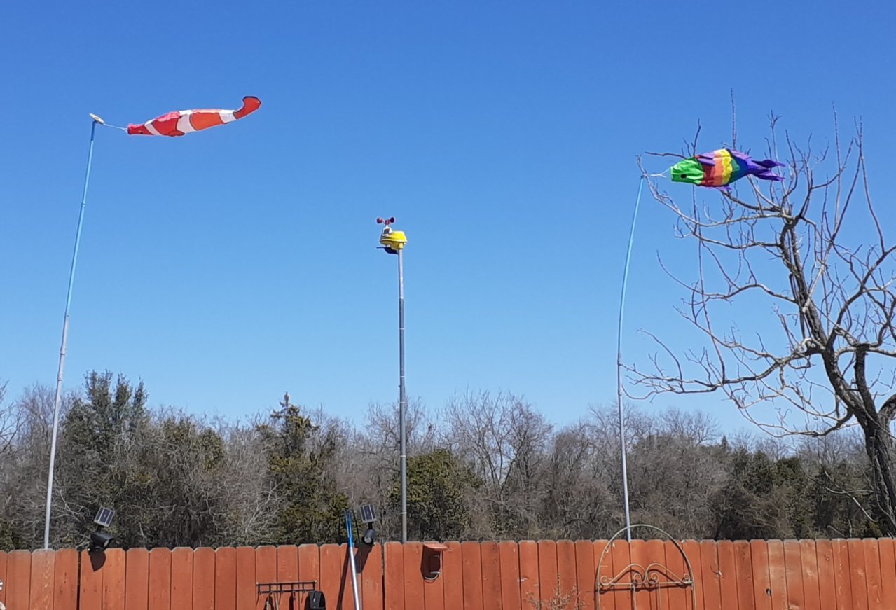 20220318_124750.jpg