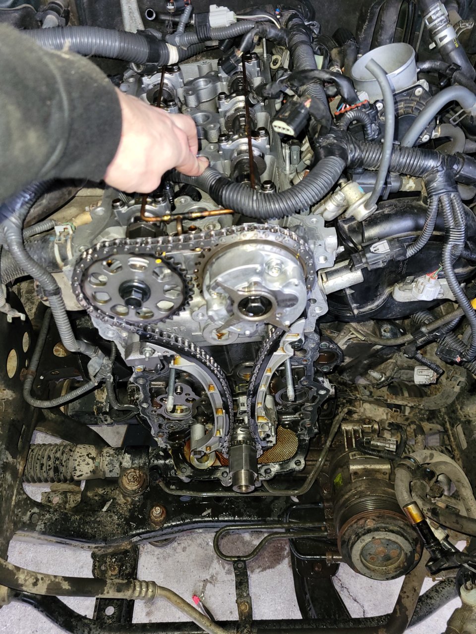 Timing cover 2024 seal replacement