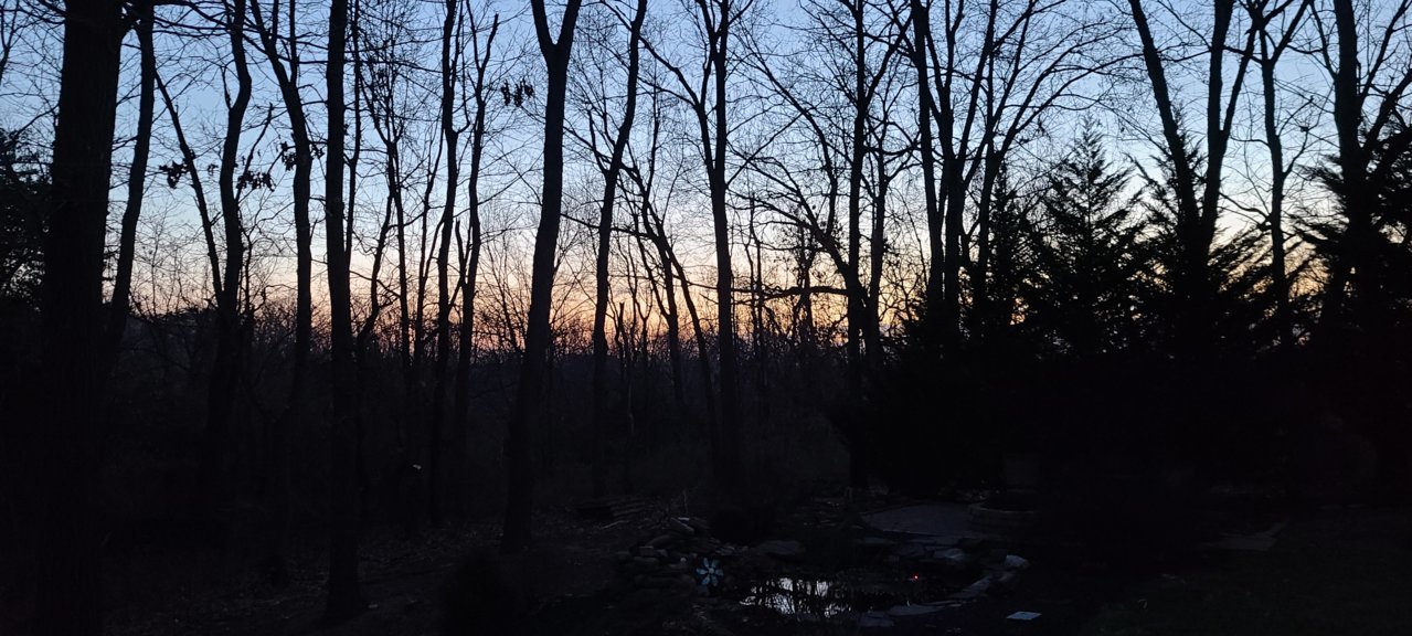 20220319_065500.jpg