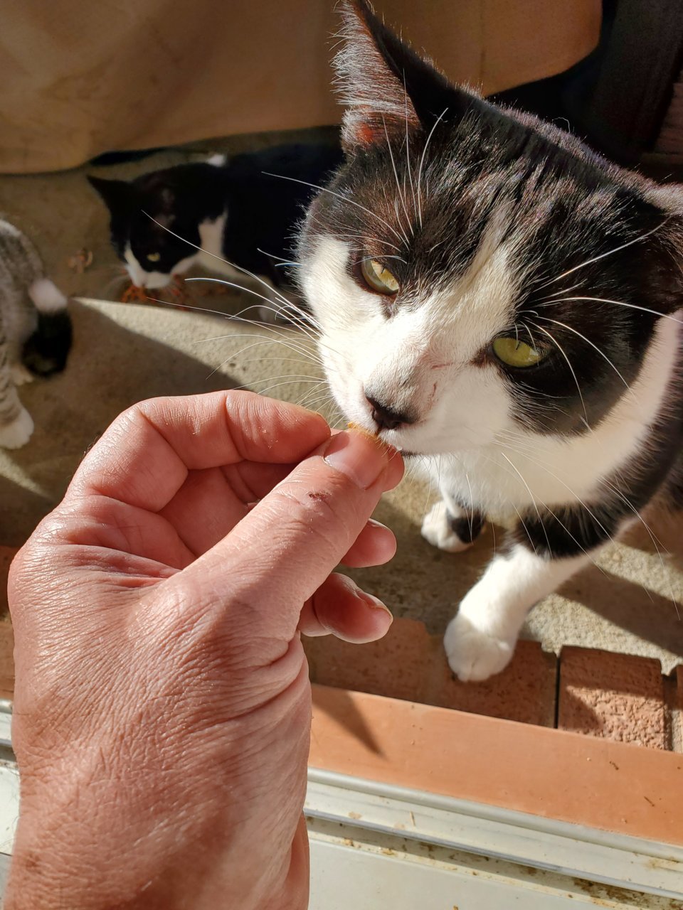 20220319_092443.jpg