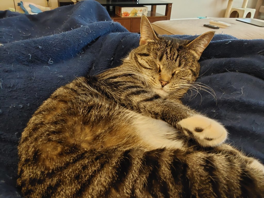 20220320_144338.jpg