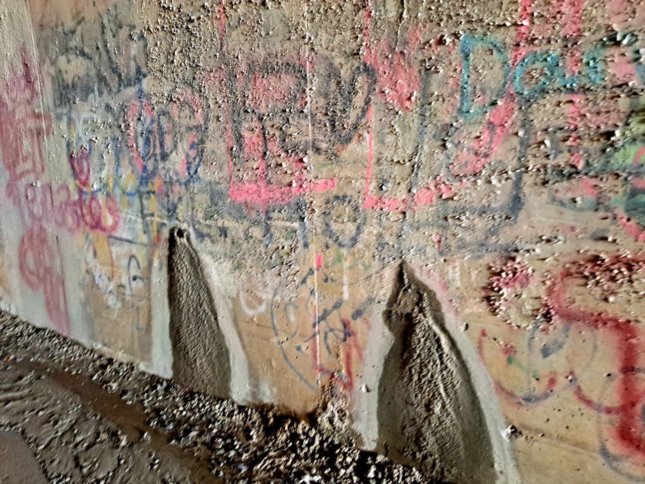 20220321_135708.jpg