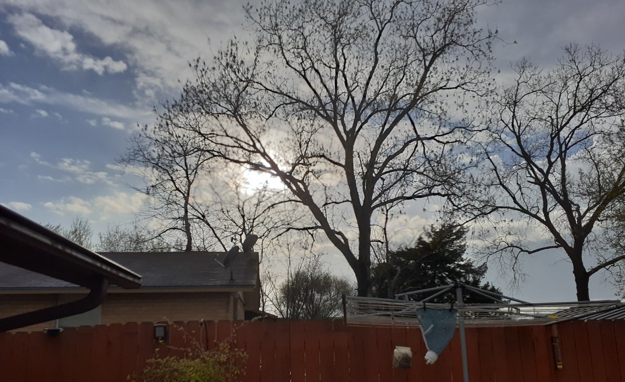 20220321_181501 1.jpg
