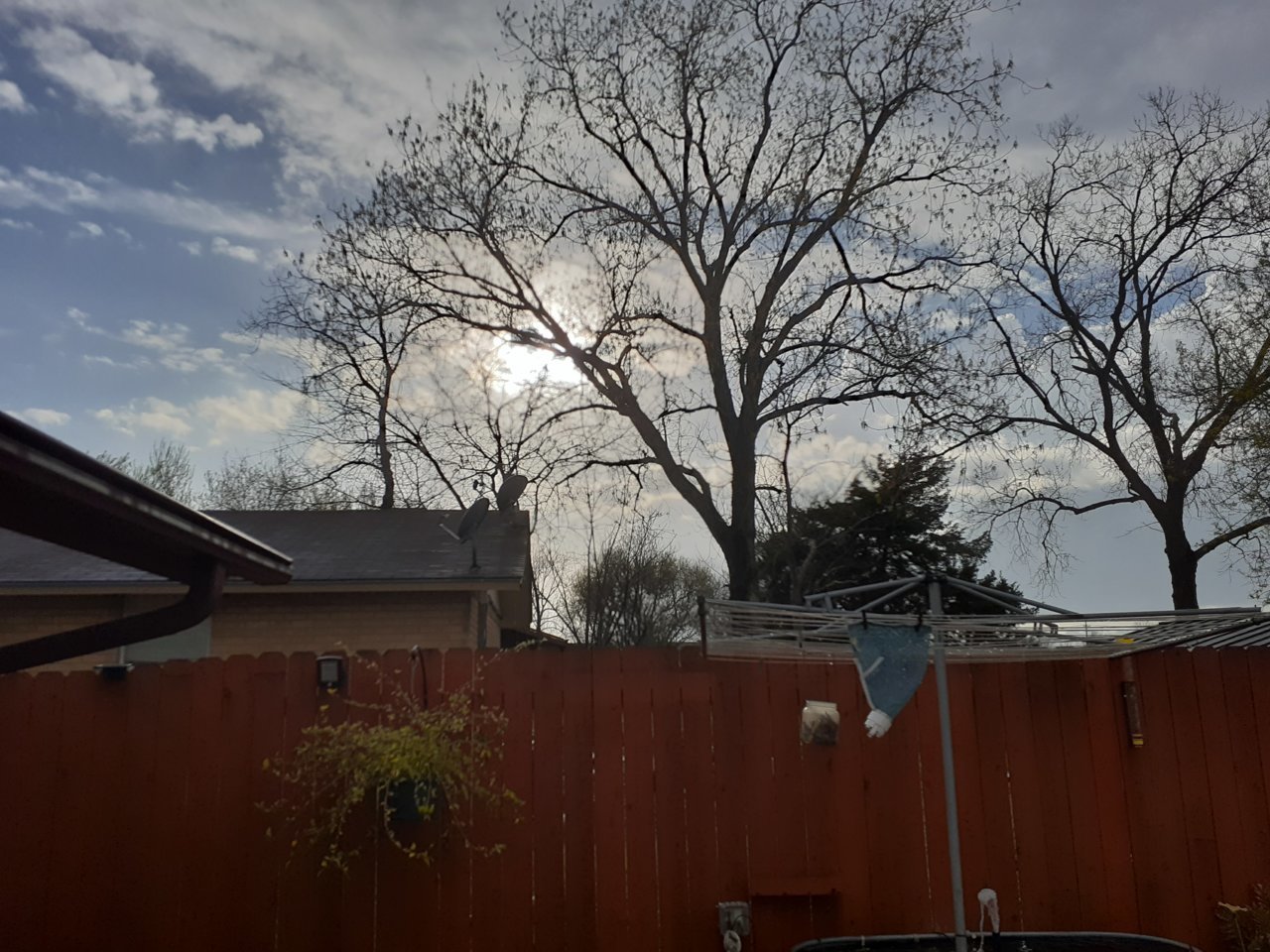 20220321_181501.jpg
