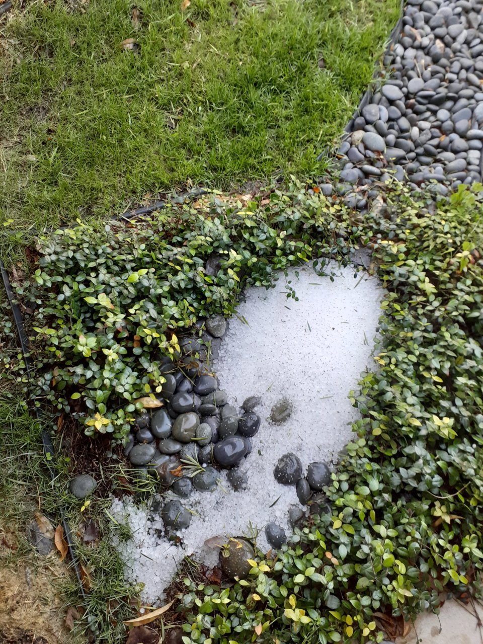 20220322_081143.jpg