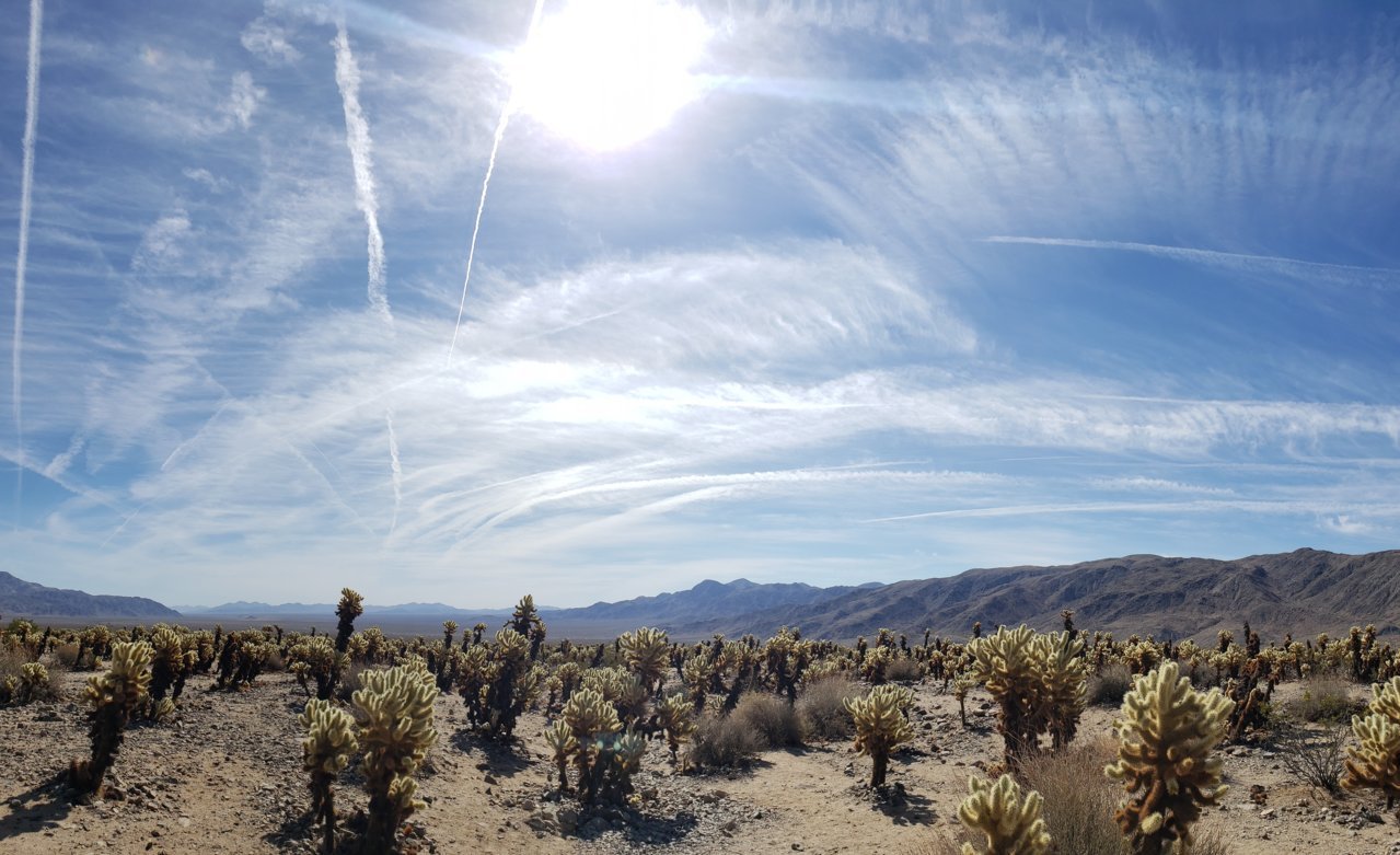 20220325_101947.jpg