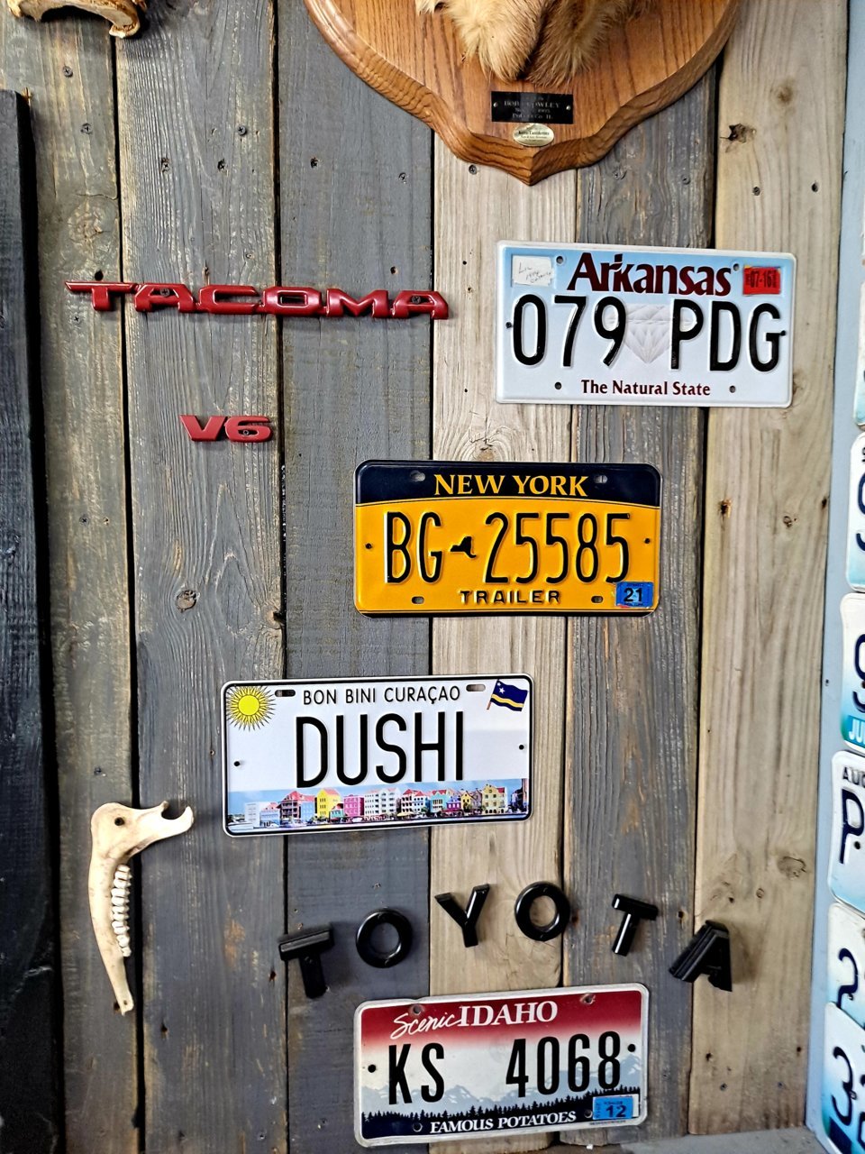 20220325_162606.jpg