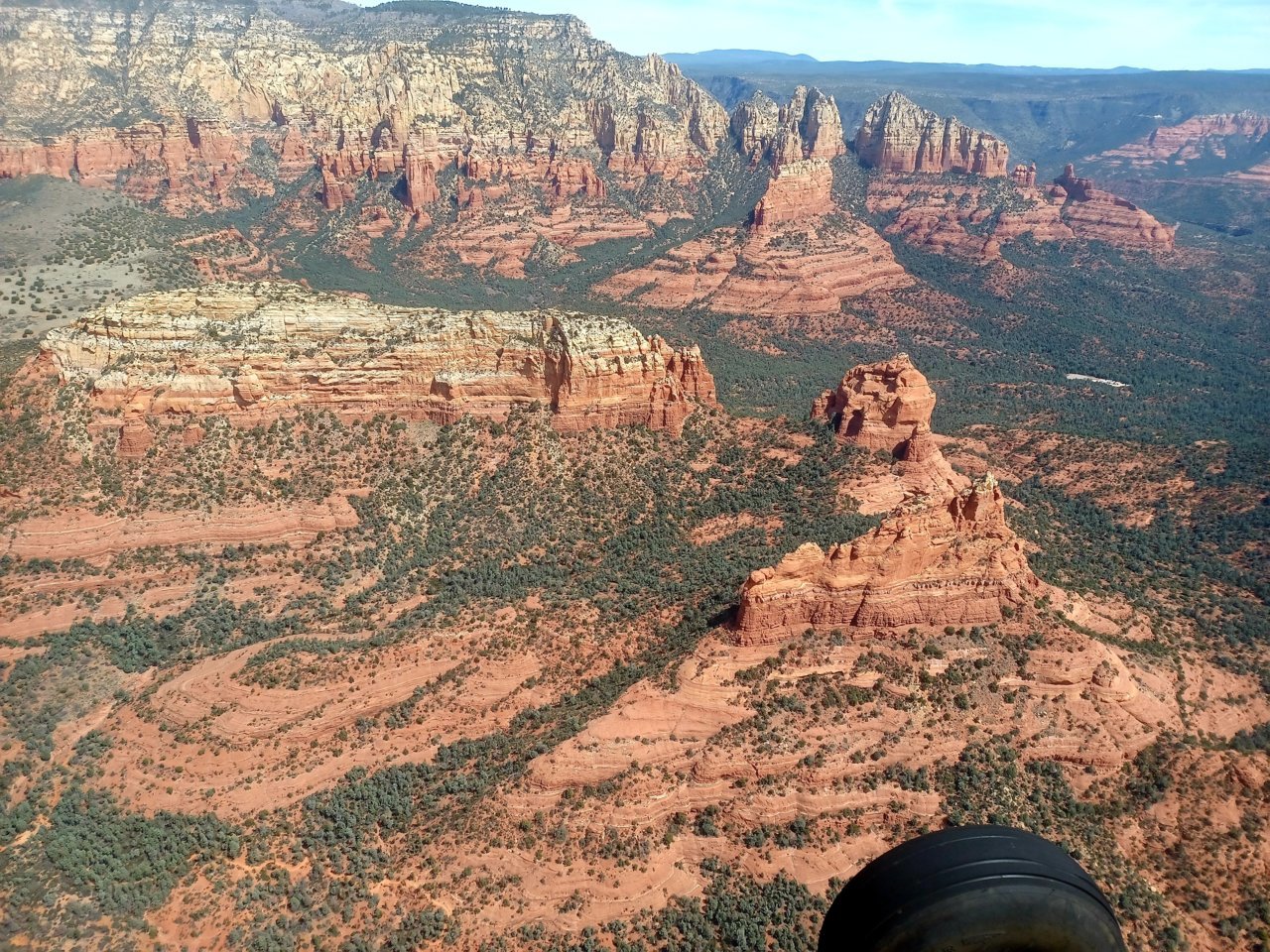 20220326_124619.jpg