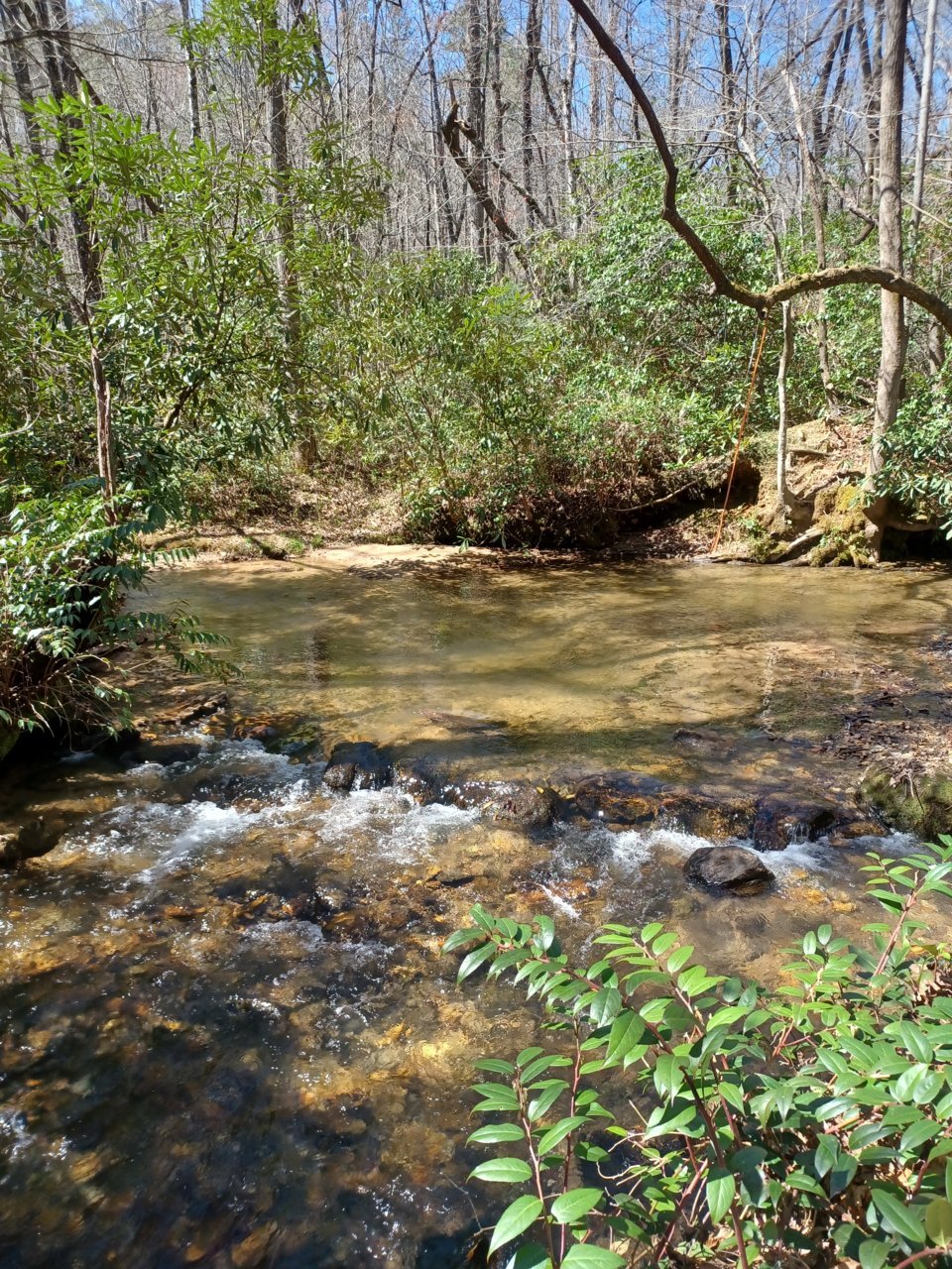 20220326_143122.jpg