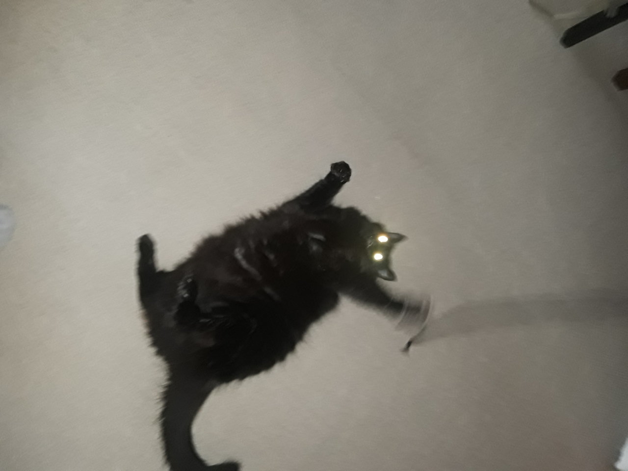 20220327_100345.jpg