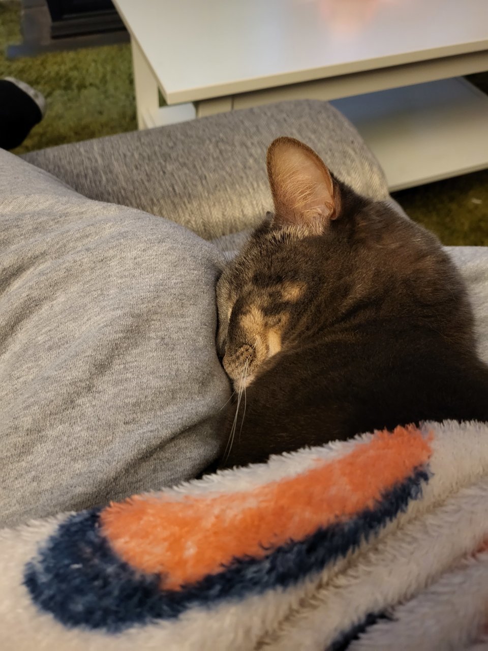 20220327_181710.jpg