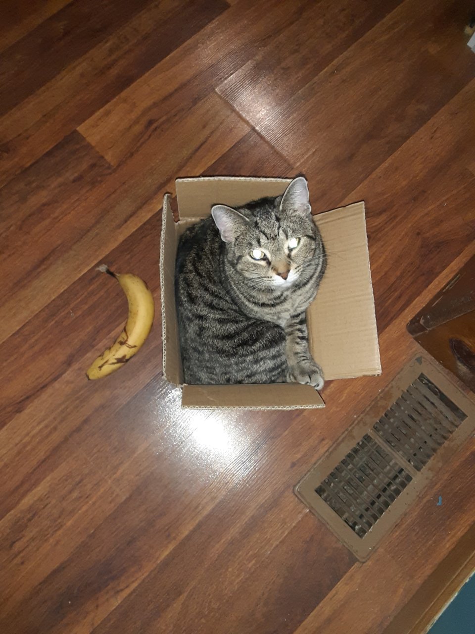 20220327_192746.jpg