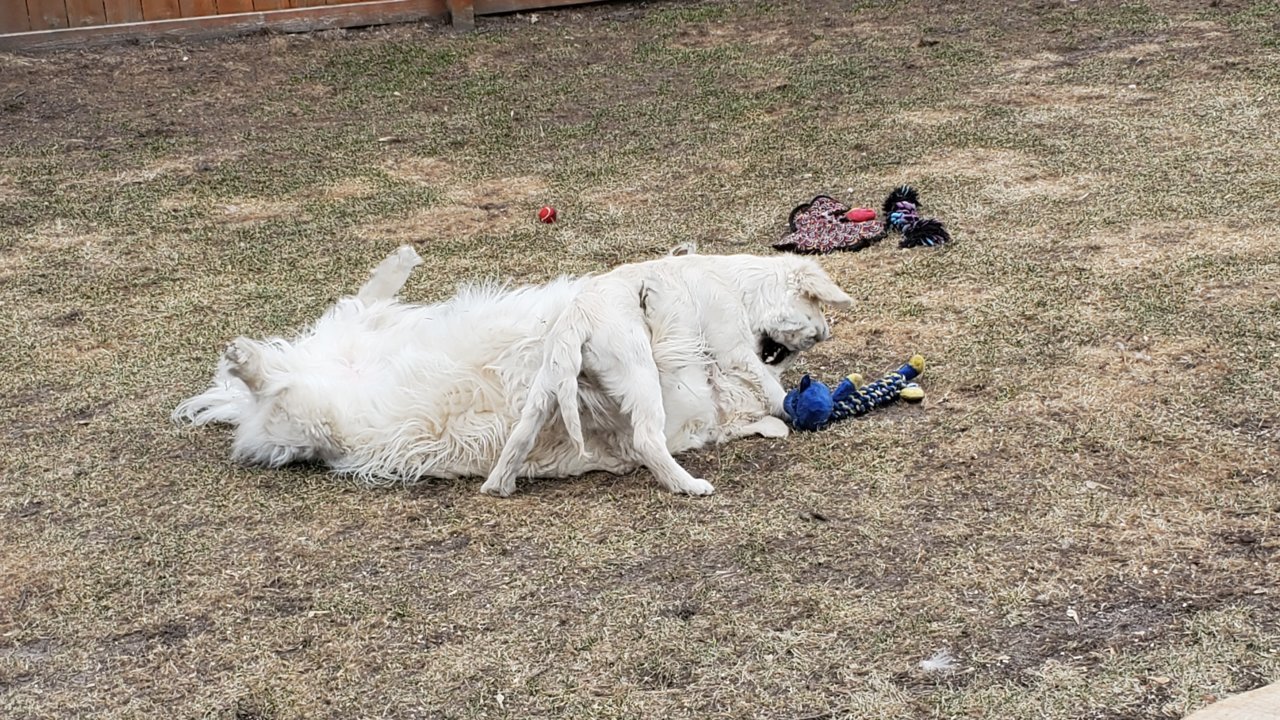 20220329_090408.jpg